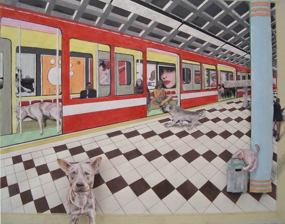 2010 collage-subwaydogs copy-1